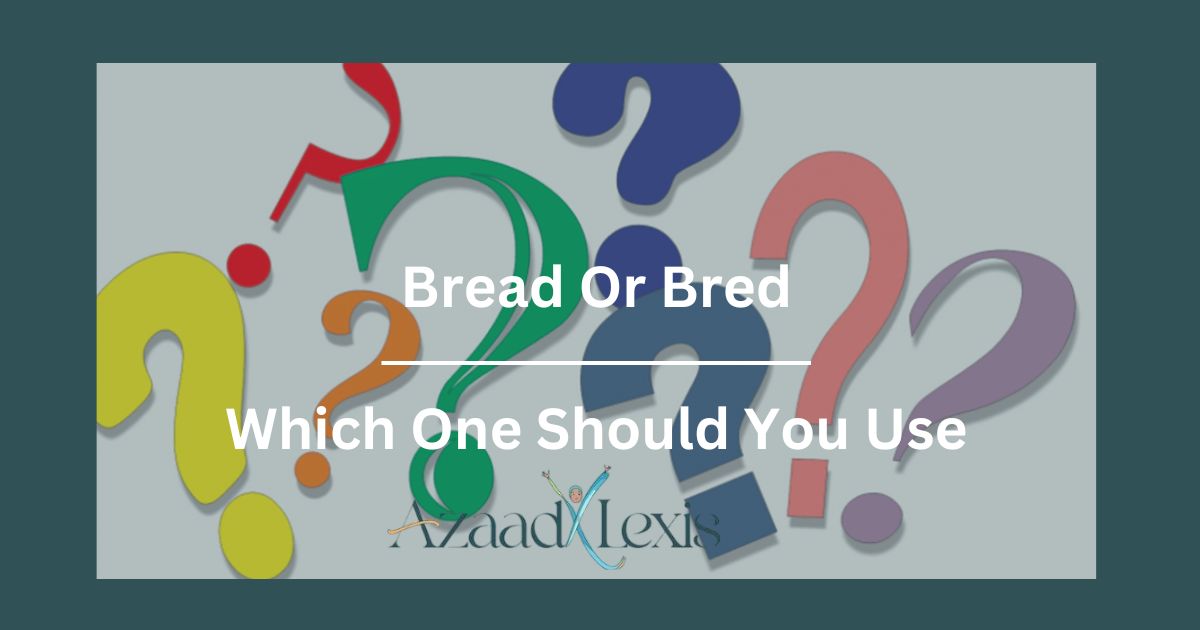 Bread-Or-Bred