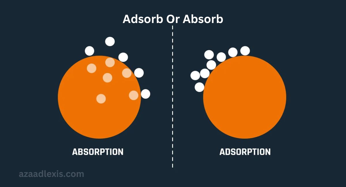 Adsorb Or Absorb